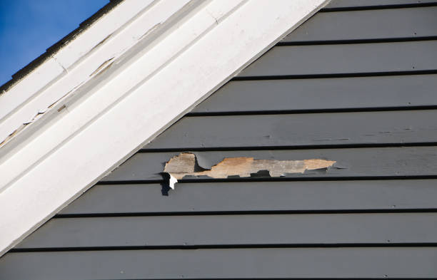 Reliable Carey, ID Siding Solutions